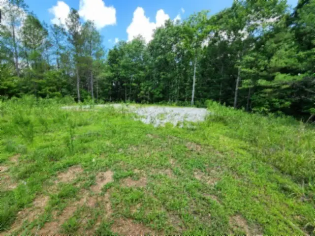 674 Rhodas Way, Sunbright, TN 37872 - #1