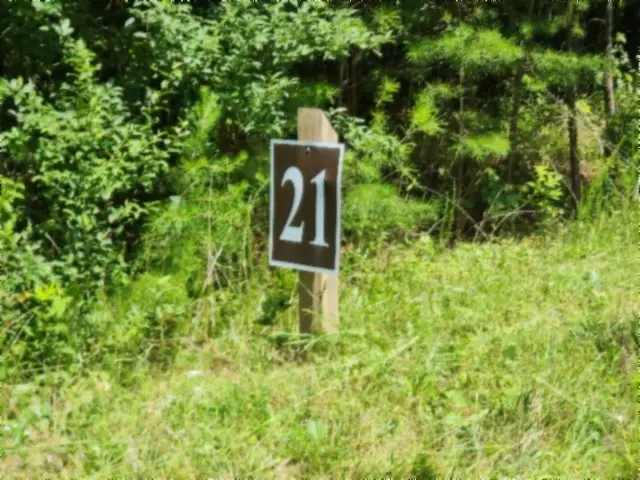 674 Rhodas Way, Sunbright, TN 37872 - #2