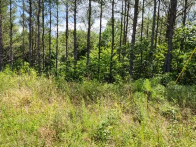674 Rhodas Way, Sunbright, TN 37872 - #3