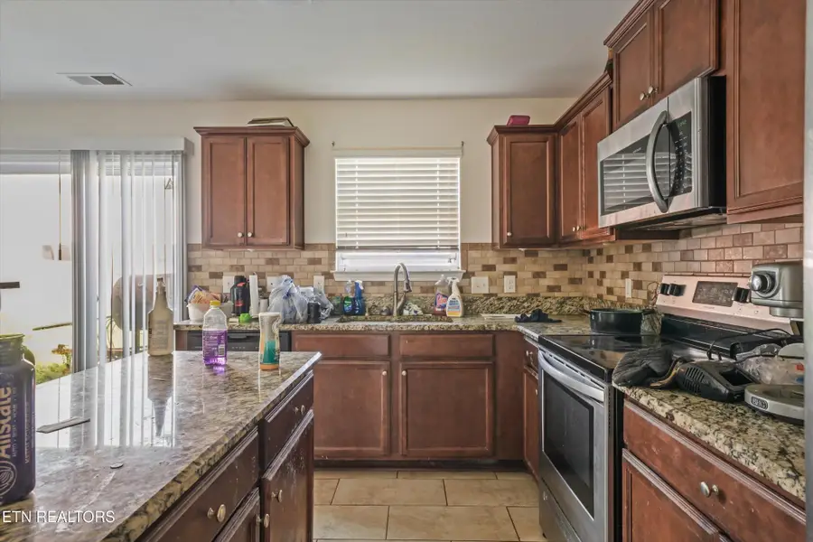 9409 Calla Lilly Lane, Mascot, TN 37806 - #3