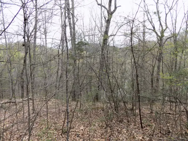 1 Mountain Shadow Way, Cosby, TN 37722