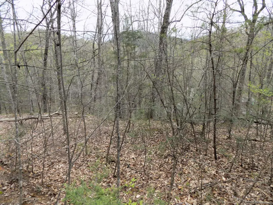 1 Mountain Shadow Way, Cosby, TN 37722 - #3