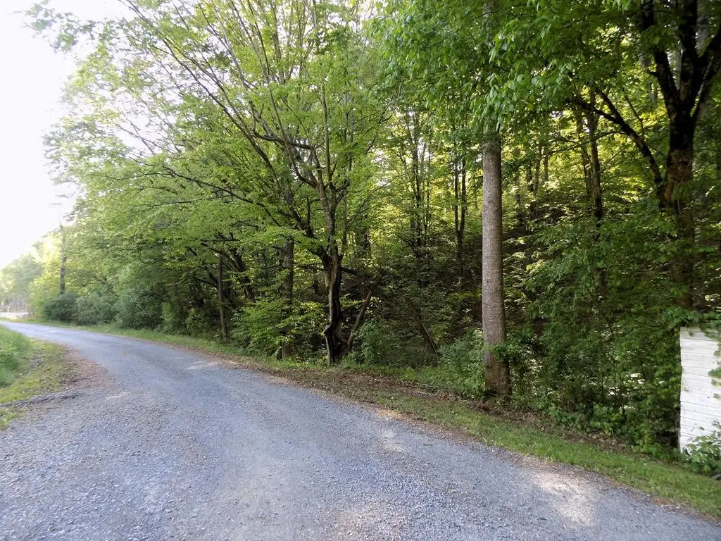 23 Driftwood Road, Cosby, TN 37722 - #1