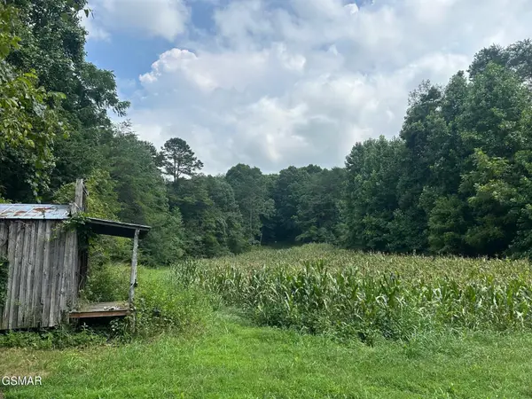 17 Pleasant View Cemetery Road, New Market, TN 37820
