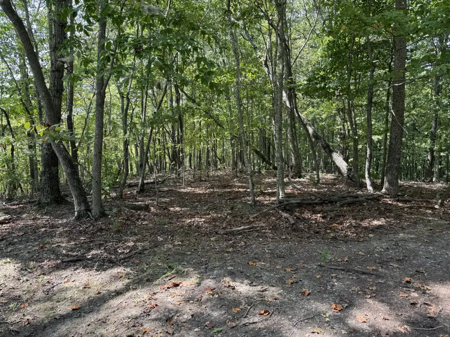 0 Spence Ln, Hilham, TN 38568 - #3