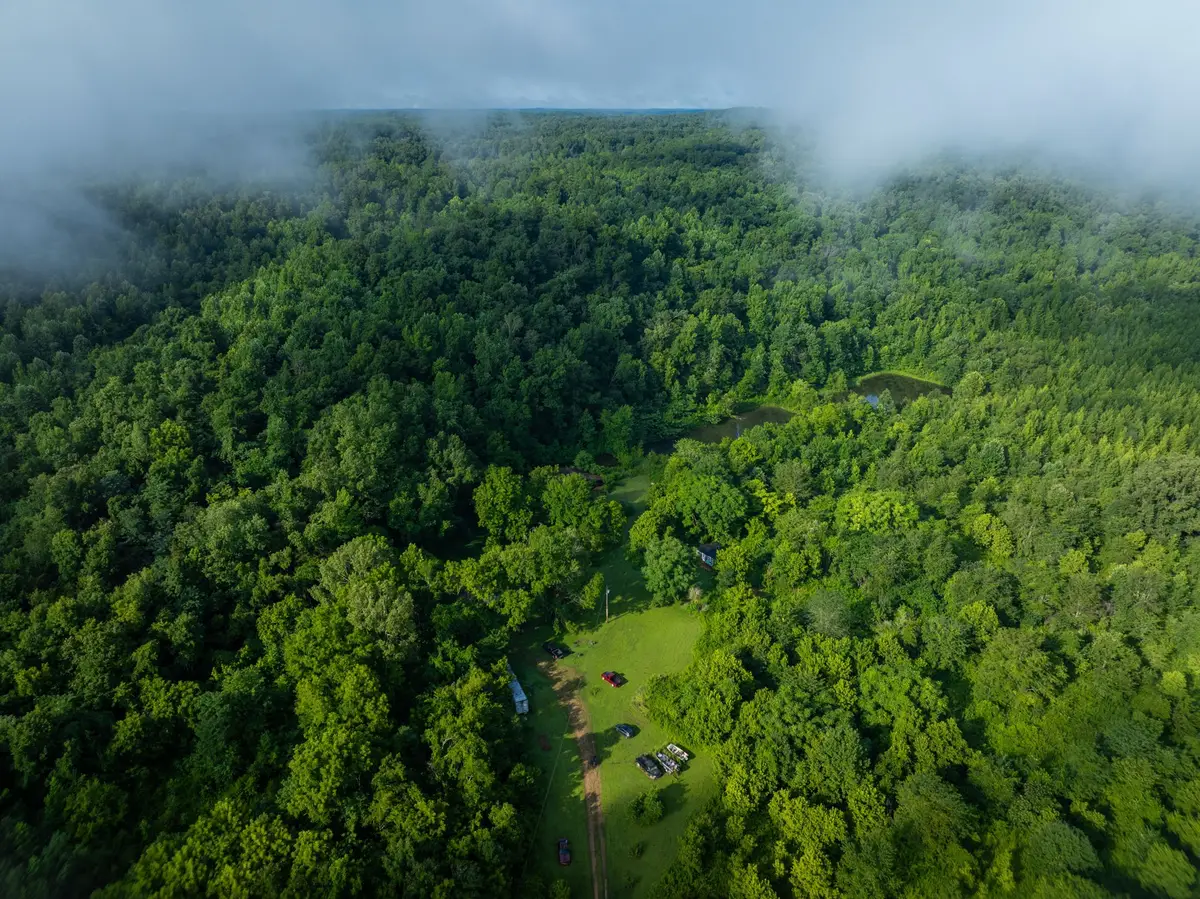 1765 Old Cedar Creek Rd, Linden, TN 37096 - #1