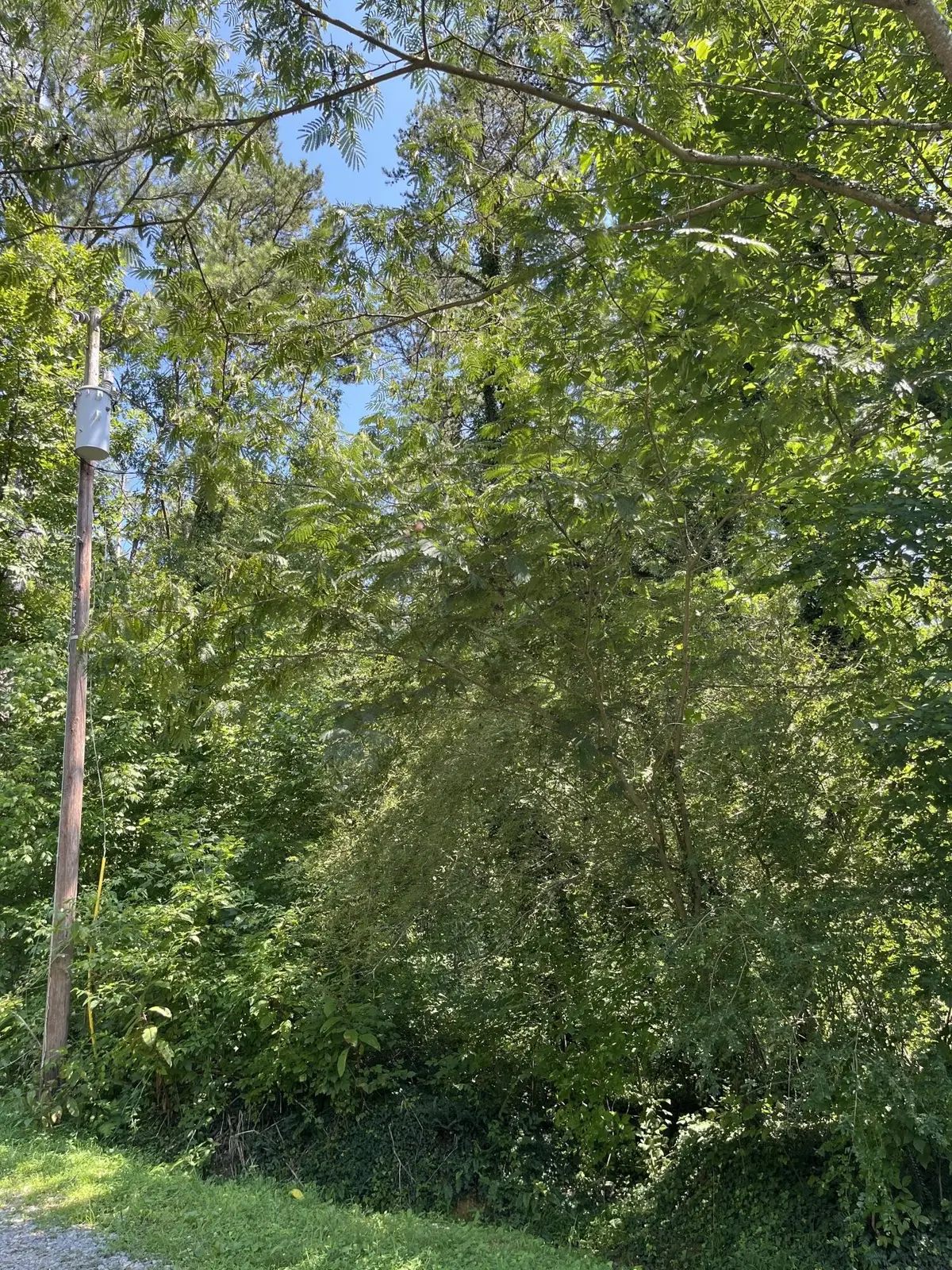 0 Melba Drive, Trion, GA 30753 - #1