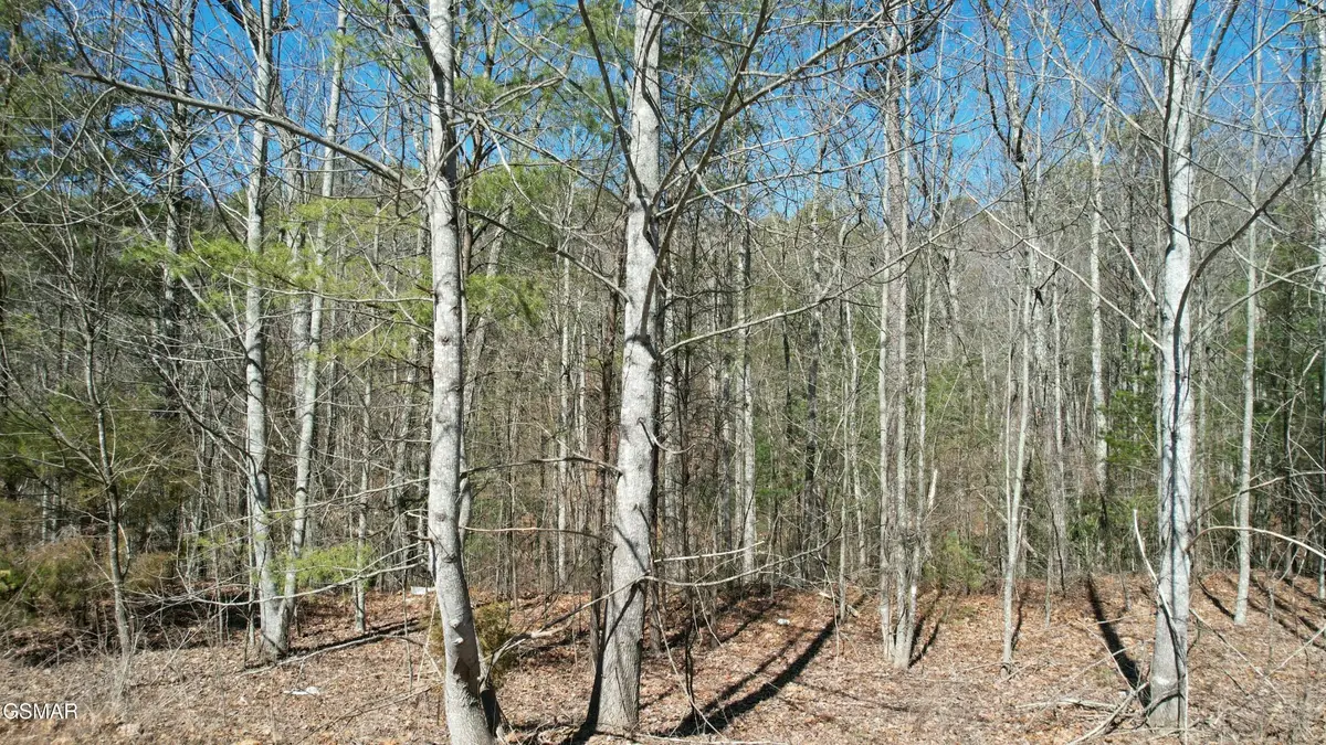 442 Hawken Drive, Walland, TN 37886 - #1