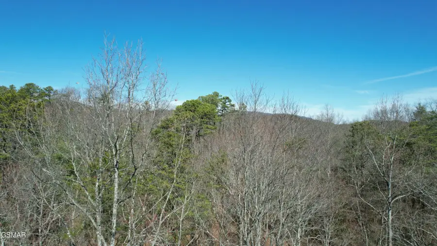 442 Hawken Drive, Walland, TN 37886 - #3