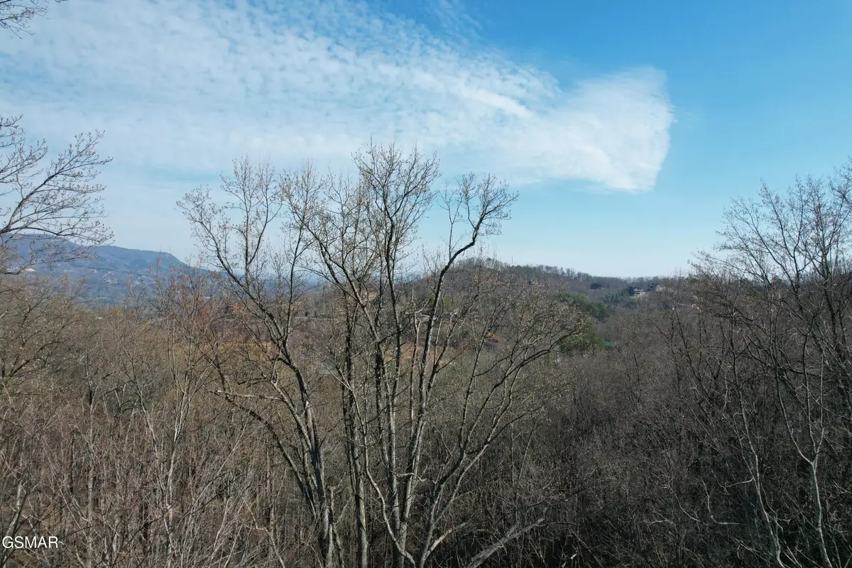 2 Spurling Way, Sevierville, TN 37862 - #1