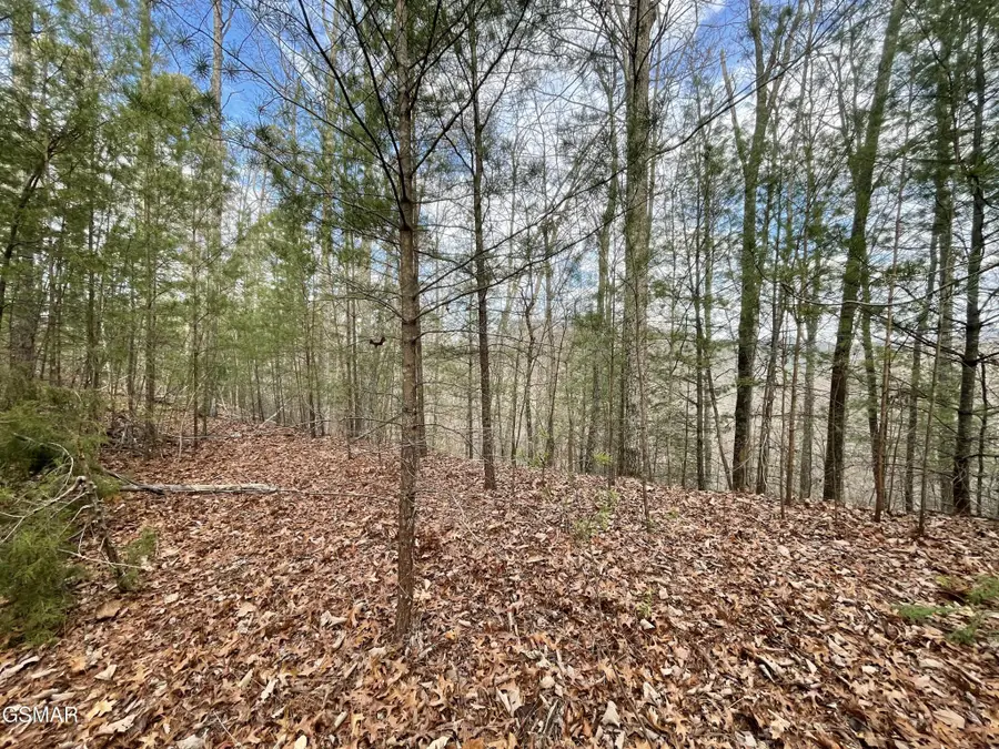 79 Whetstone Road, Sevierville, TN 37862 - #2