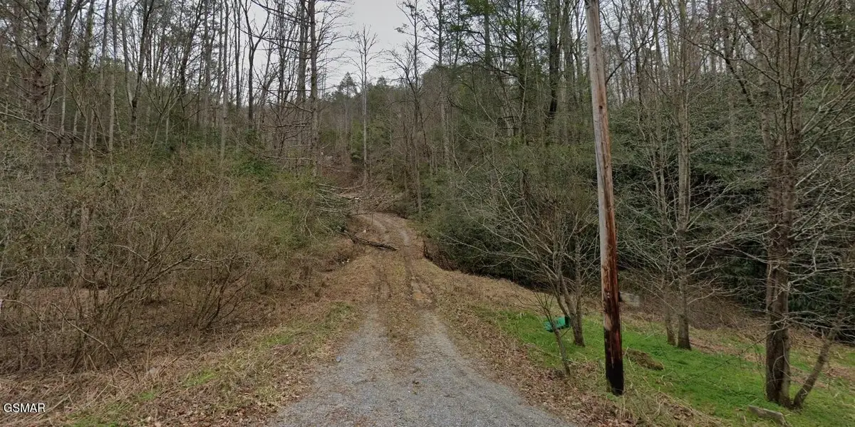 1210 Laurel Lick Road, Pigeon Forge, TN 37862 - #1
