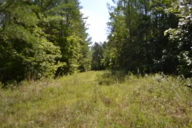 318 Rhodas Way, Sunbright, TN 37872 - #2