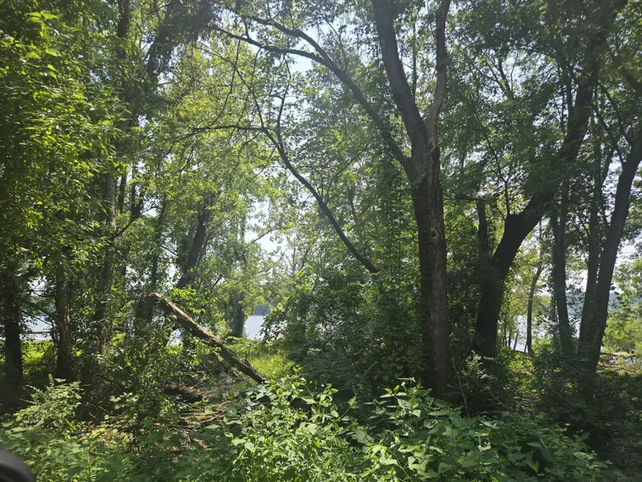 480 Bluff Point Ridge Rd, Waverly, TN 37185 - #3