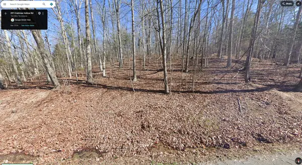 297 Crabtree Hollow Rd, Ten Mile, TN 37880