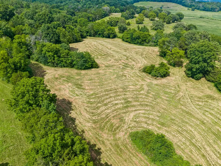 4545 Stephenson Schoolhouse Rd, Hampshire, TN 38461 - #2