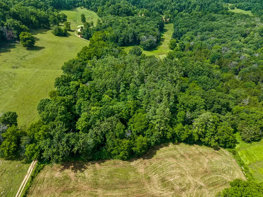 4545 Stephenson Schoolhouse Rd, Hampshire, TN 38461 - #3