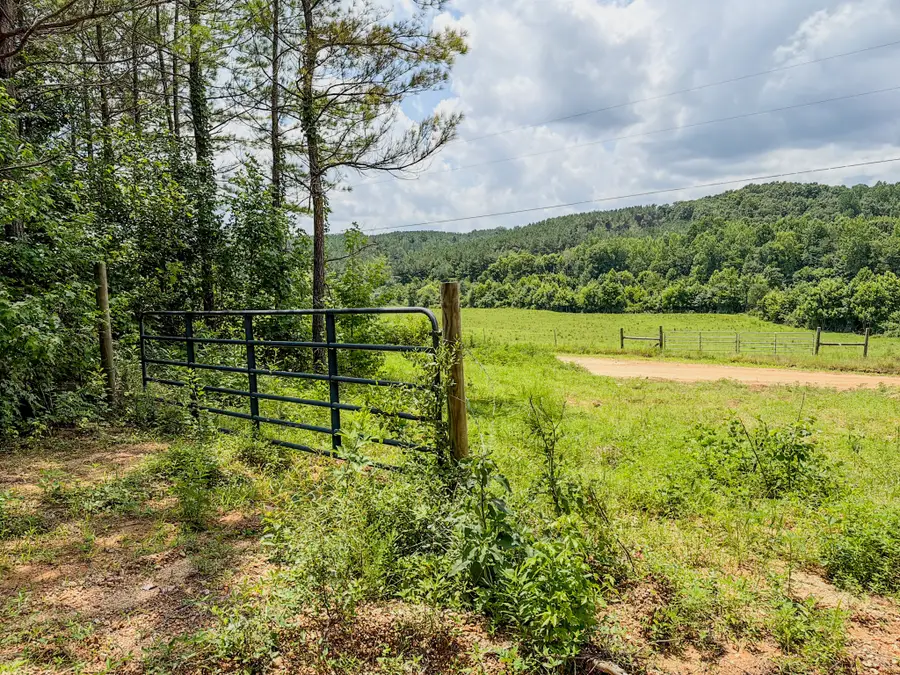 0 Big Opossum Creek Rd, Waynesboro, TN 38485 - #2
