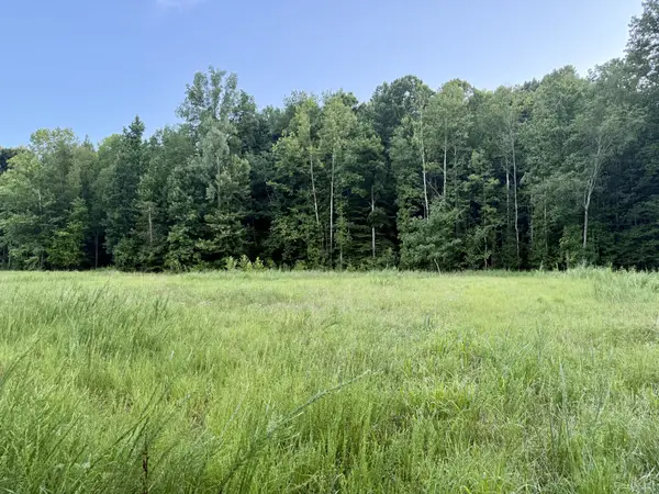 825 Lakestone Rd, Waverly, TN 37185
