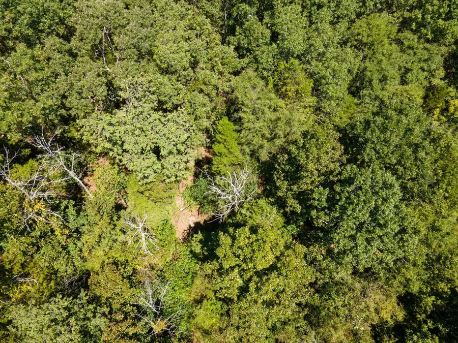 0 Shapiro Trail, Columbia, TN 38401 - #3