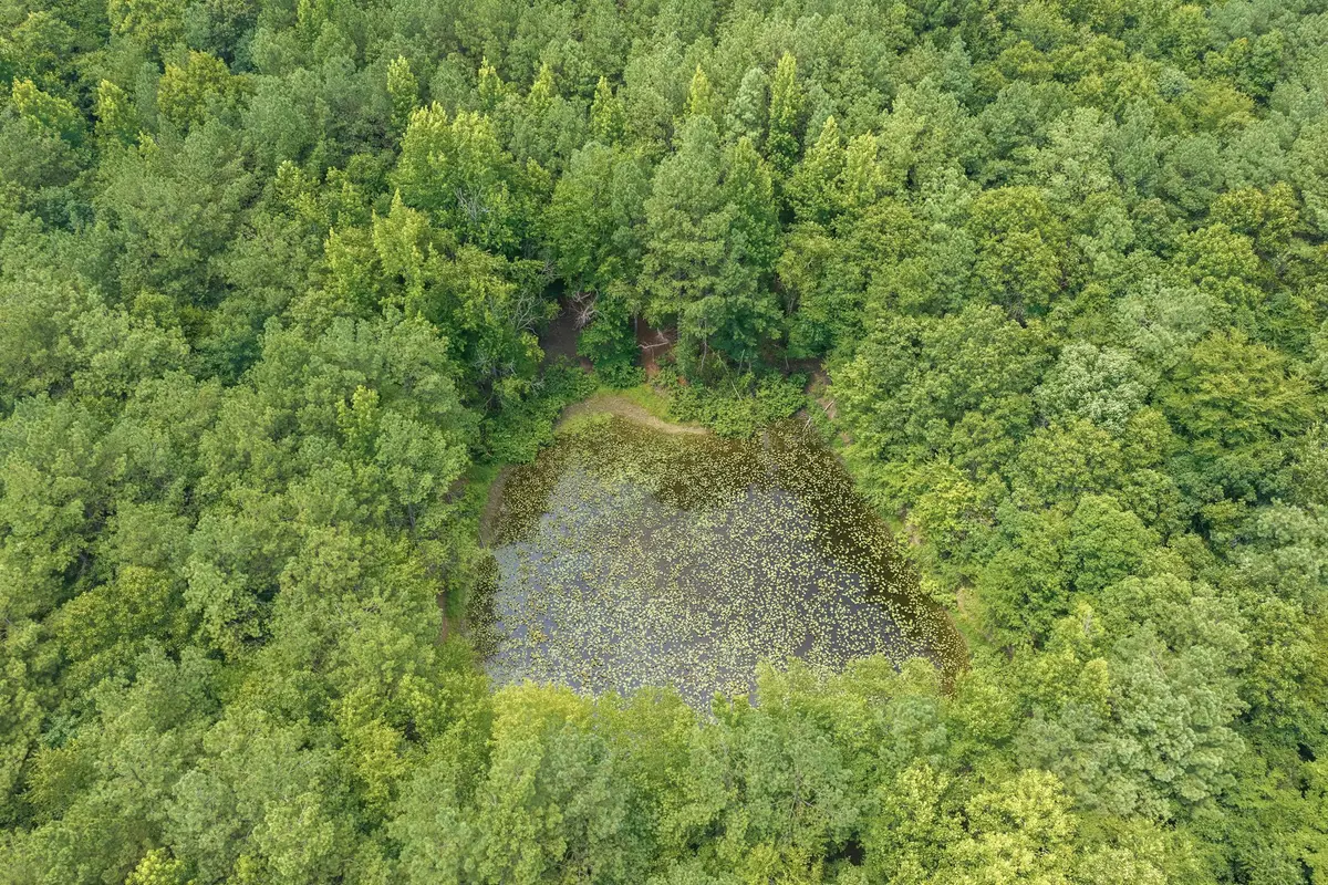 0 Highway 22a, Lexington, TN 38351 - #1