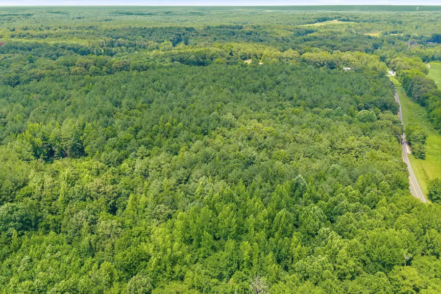 0 Highway 22a, Lexington, TN 38351 - #3