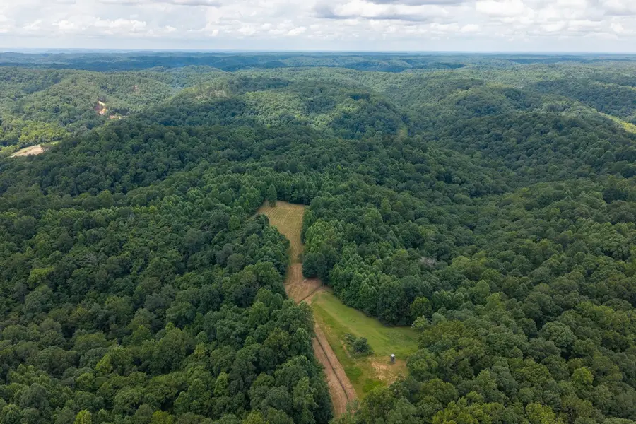 2342 Claylick Rd, Whites Creek, TN 37189 - #2