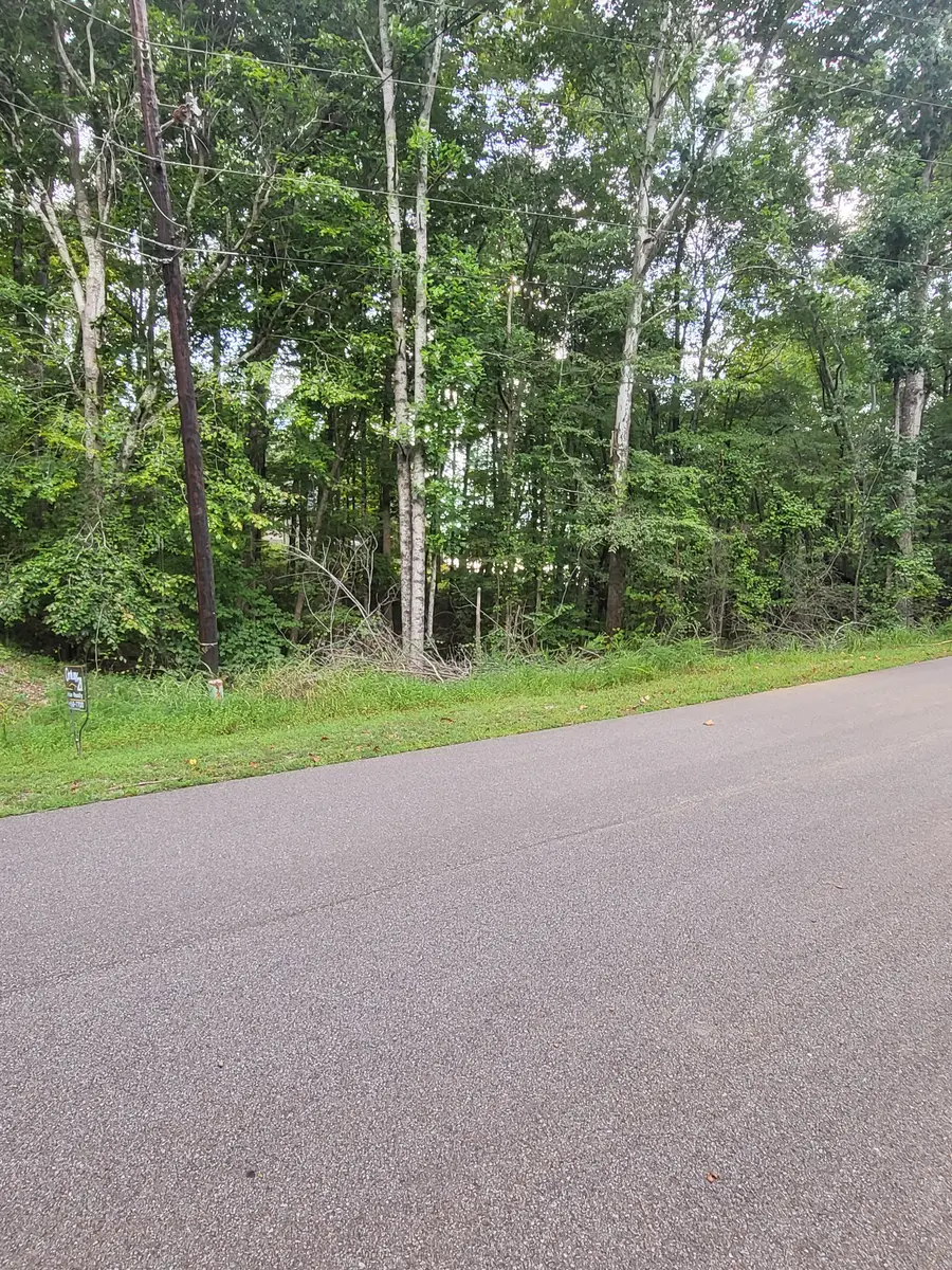 905 Grand Valley Dr, Saulsbury, TN 38067 - #3