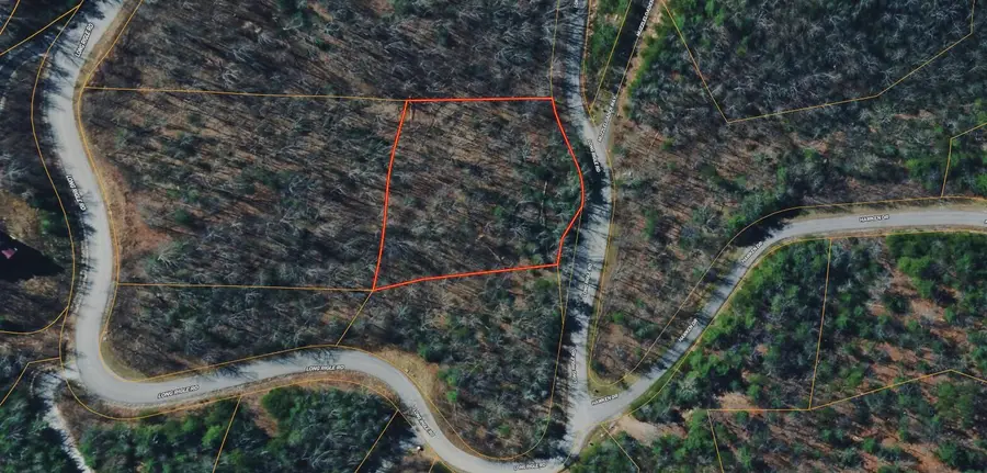 0 Long Rifle Road, Walland, TN 37886 - #3