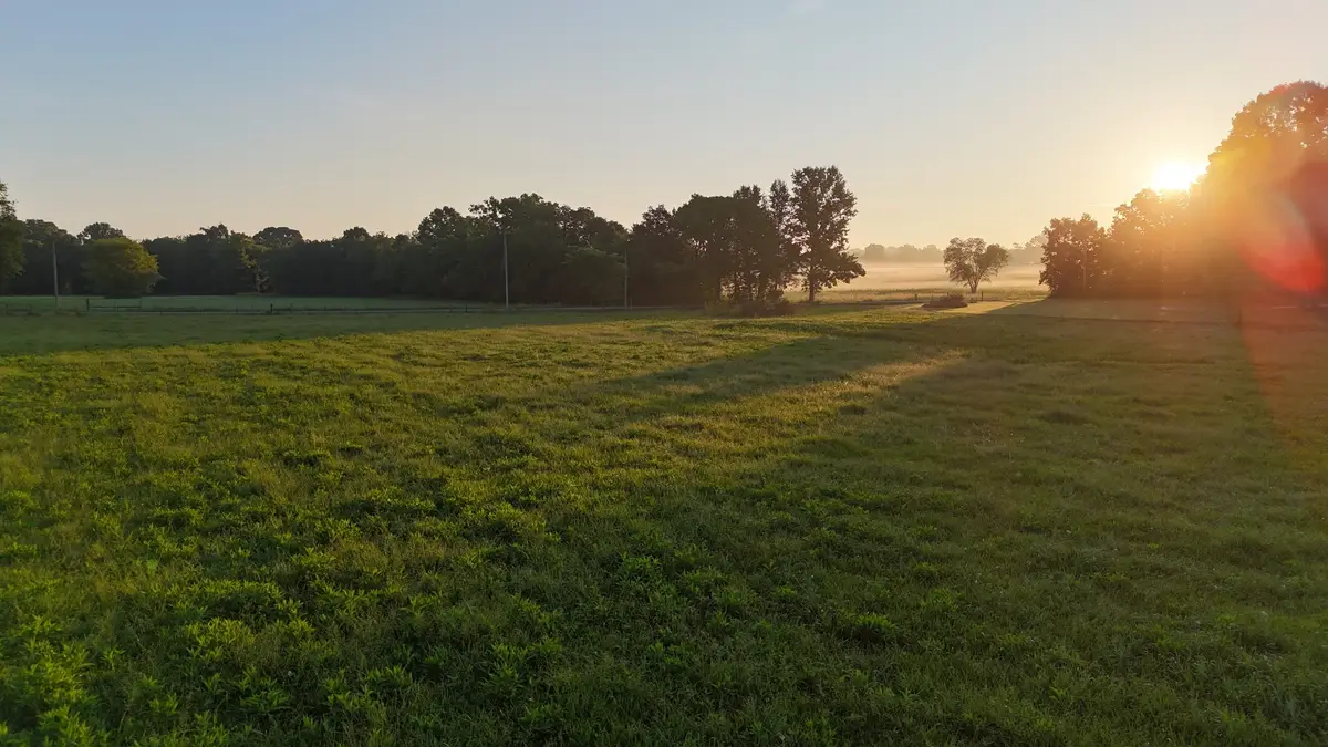 161 Hopkins Bridge Rd, Unionville, TN 37180 - #1
