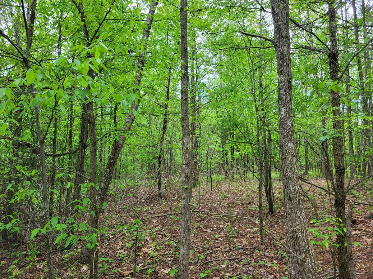 565 Valley Loop, Pikeville, TN 37367 - #1