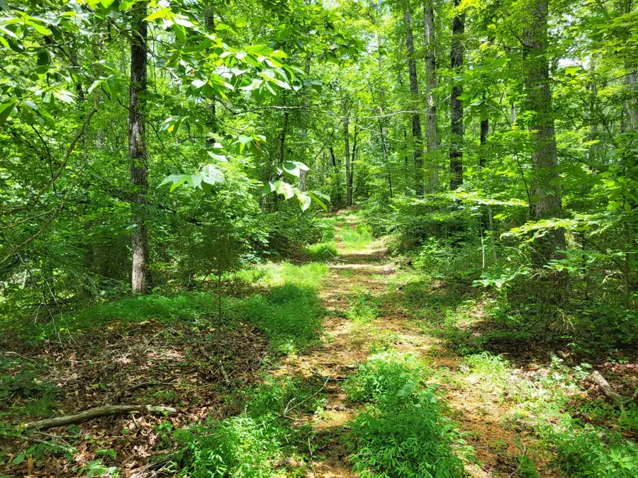 565 Valley Loop, Pikeville, TN 37367 - #3
