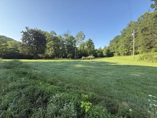 2407 Esque Sharp Rd, Mount Pleasant, TN 38474