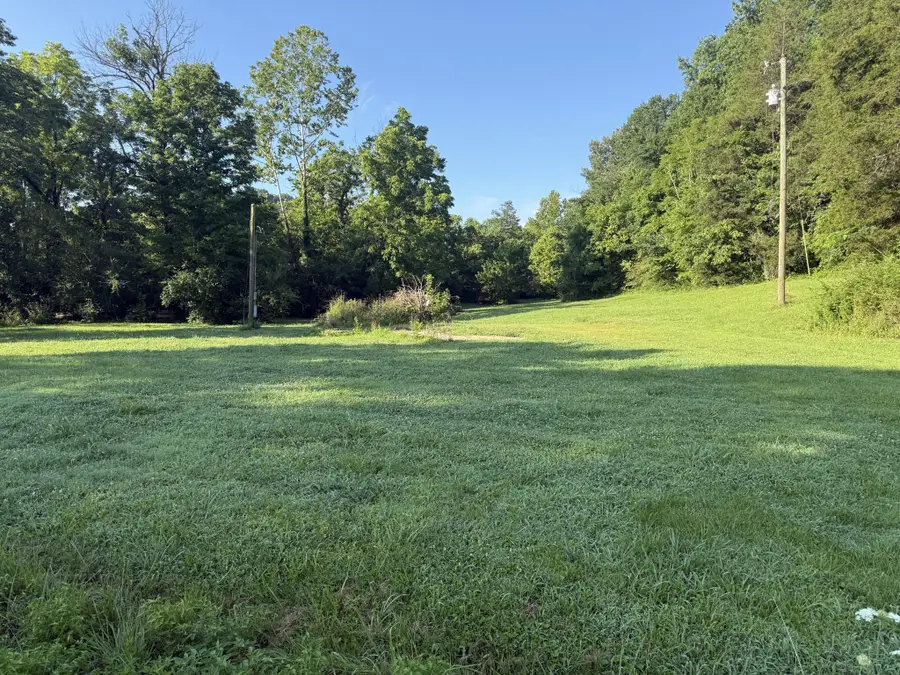 2407 Esque Sharp Rd, Mount Pleasant, TN 38474 - #3