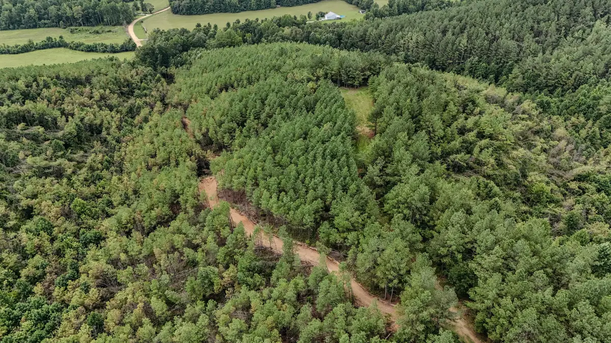 0 Big Opposum Creek Rd, Waynesboro, TN 38485 - #1