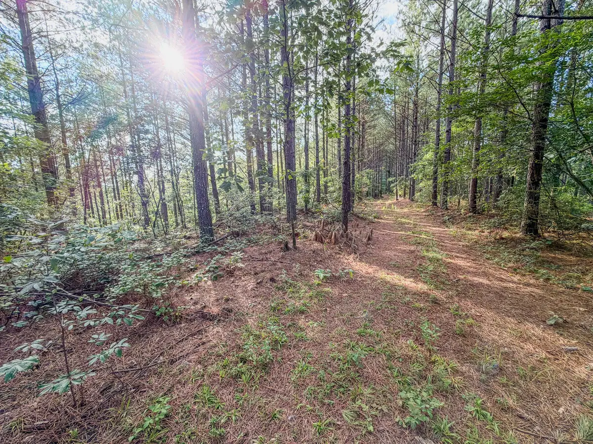 164 Center Ridge Dr, Hohenwald, TN 38462 - #1