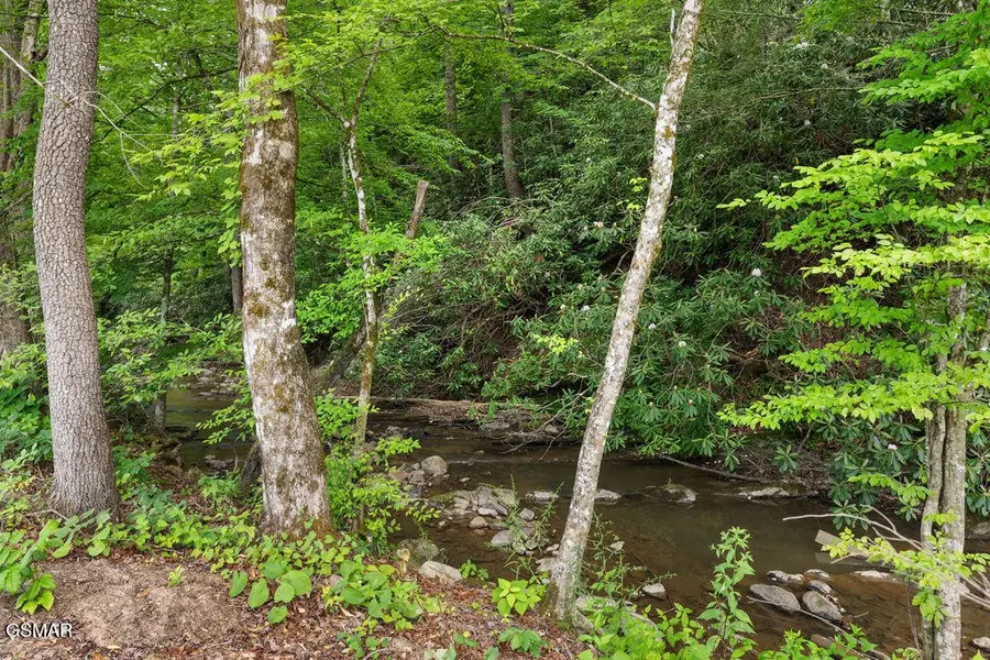2215 Sawmill Cv Drive, Sevierville, TN 37862 - #3