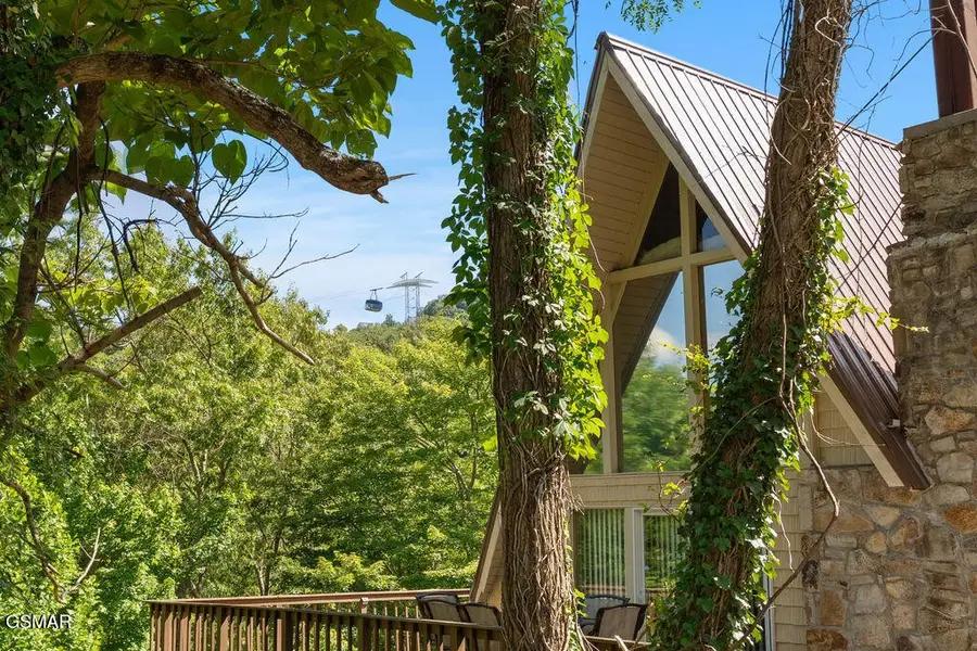 1105 Lower Alpine Way, Gatlinburg, TN 37738 - #2