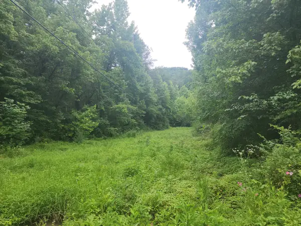 0 Rocky Flats Rd Road, Sevierville, TN 37876