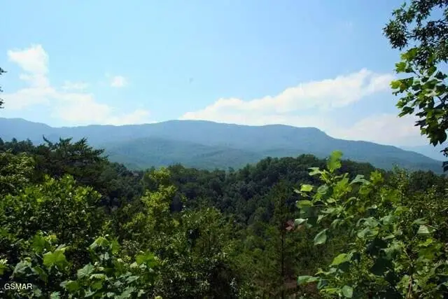 64 Vixen Run, Gatlinburg, TN 37738 - #1