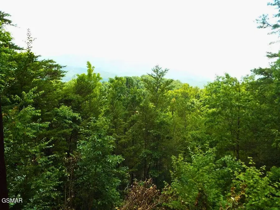 64 Vixen Run, Gatlinburg, TN 37738 - #2