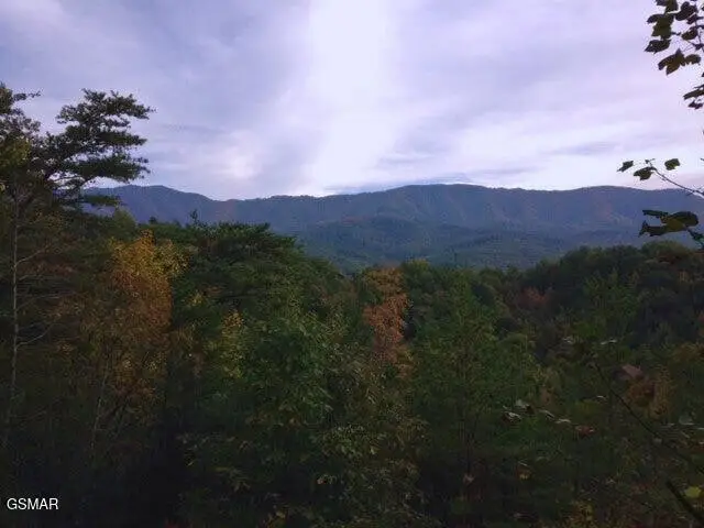 64 Vixen Run, Gatlinburg, TN 37738 - #3