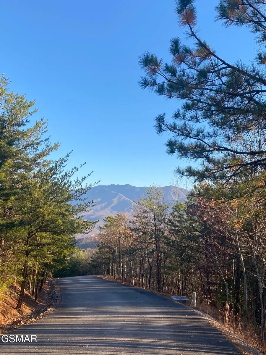 7 Lightning Bug Way, Gatlinburg, TN 37738 - #2