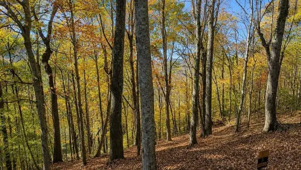 0 Savannah Dr, Smithville, TN 37166