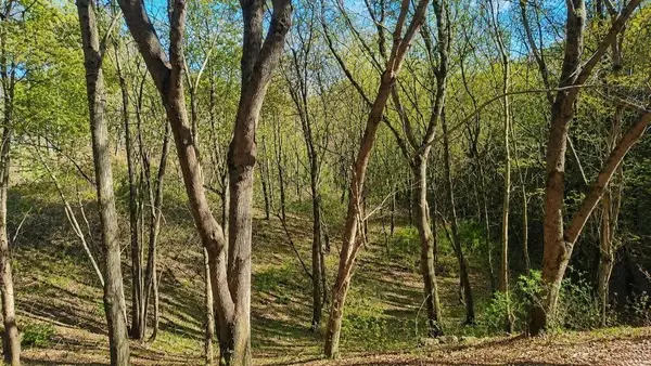 0 Blackberry Ridge Way, Smithville, TN 37166