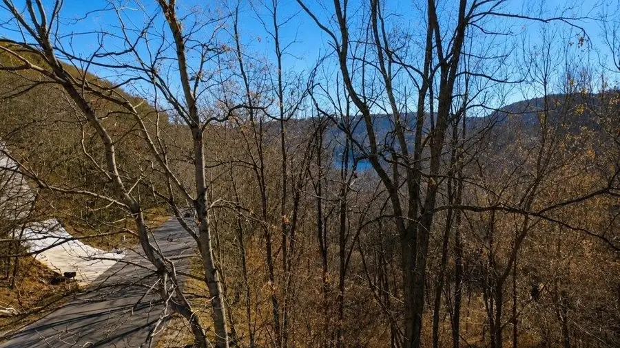 0 Blackberry Ridge Way, Smithville, TN 37166 - #2