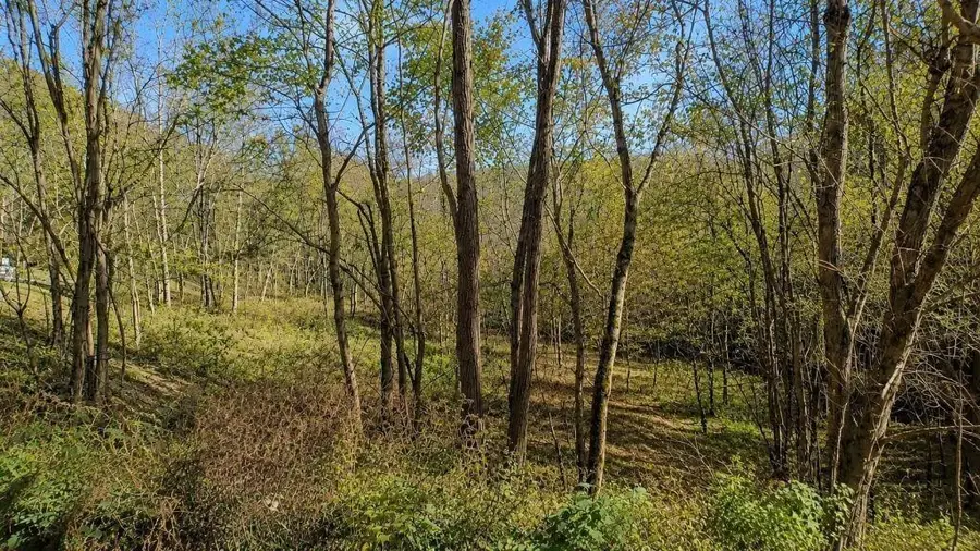 0 Blackberry Ridge Way, Smithville, TN 37166 - #3