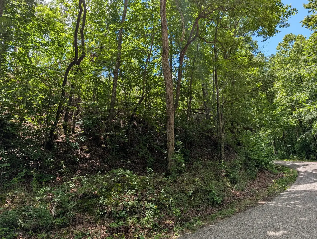 0 Old Penny Rd, Linden, TN 37096 - #1