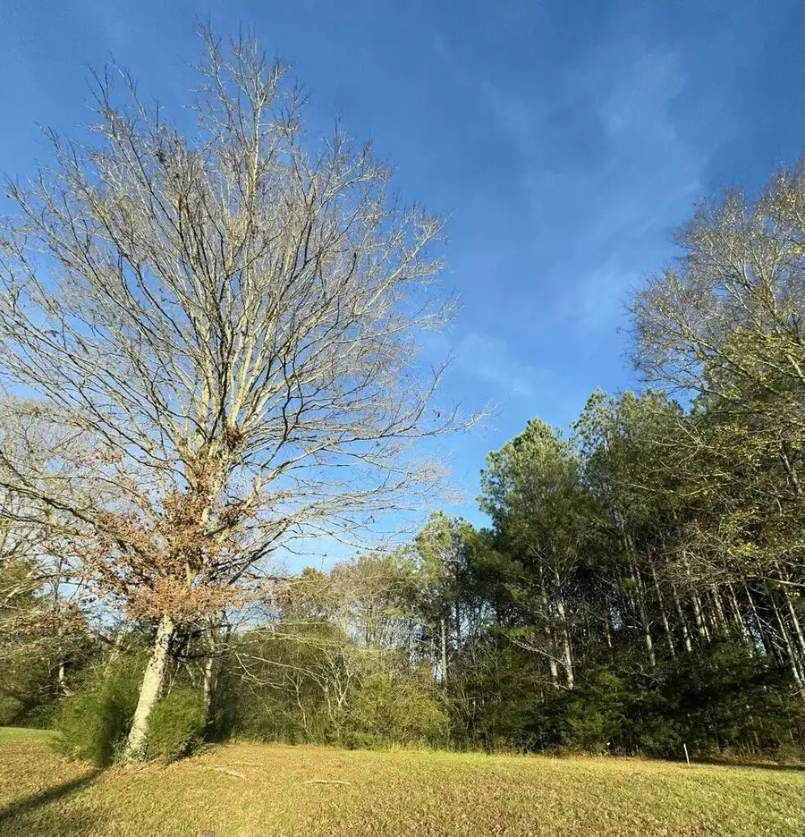 0 Georgetown Road Nw, Cleveland, TN 37312 - #3