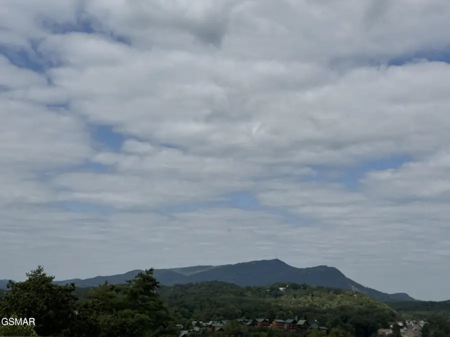 410 Big Bear Way #2001, Pigeon Forge, TN 37863 - #2